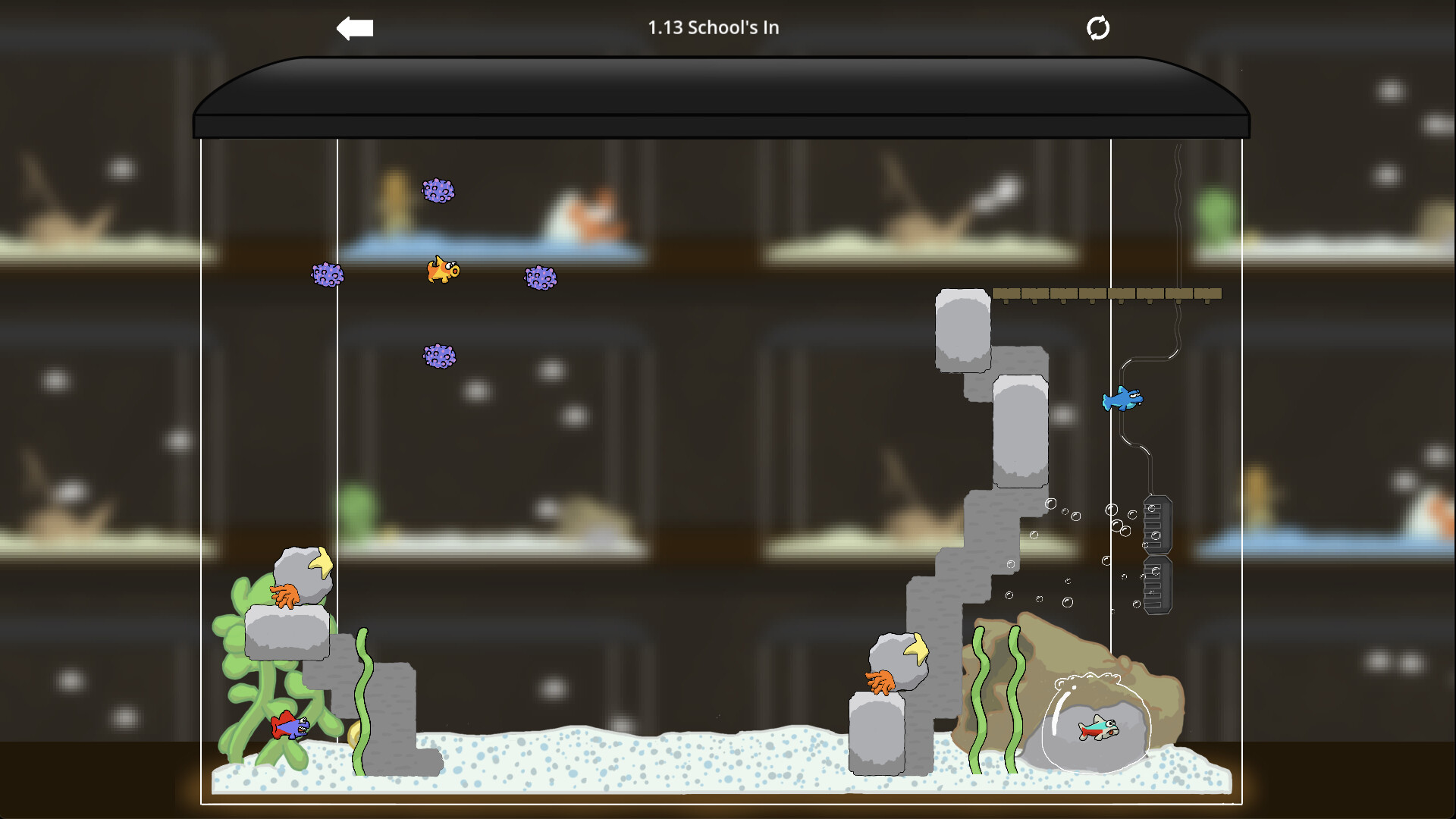 Derpy Fish screenshot 2