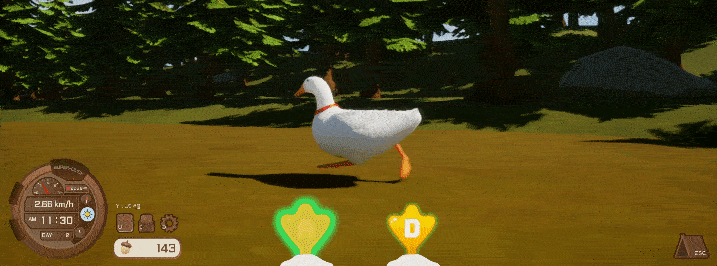 Ducky: The Curious