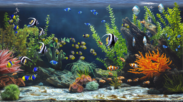 Zen Aquarium screenshot