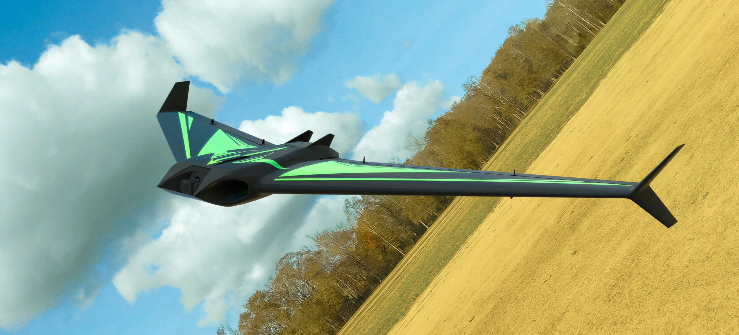 RealFlight Evolution - HardVector screenshot 6