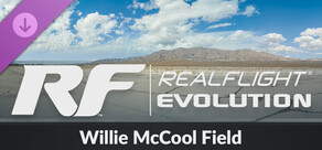 RealFlight Evolution – Willie McCool Field