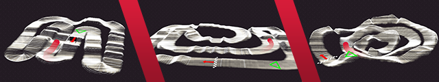 TracksSlide.png