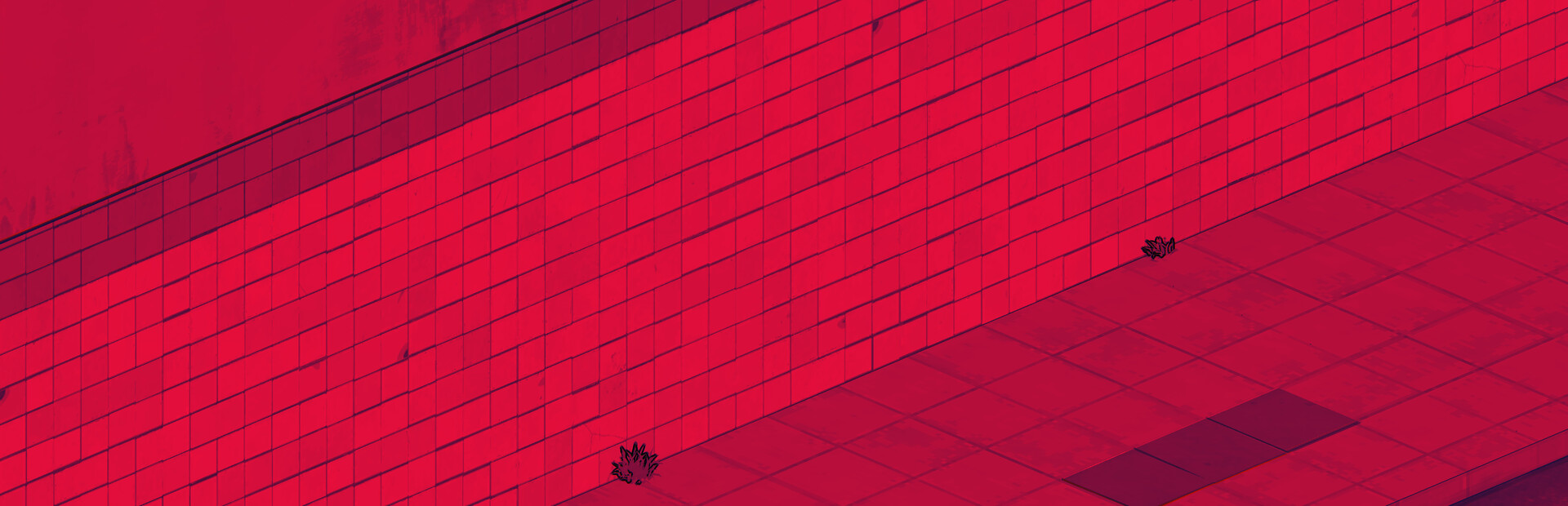 NEO VANDAL