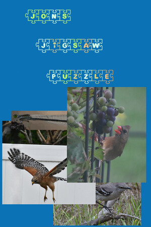 9c9731f9-bf50-eb60-ab52-5f53c0d5202f