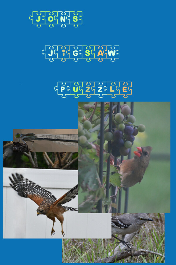 9f5725aa-7e57-b1d6-6fd9-781d2a60e56c