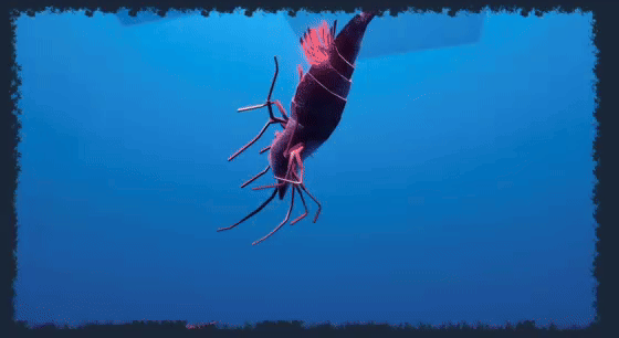 Shrimp Keeping Simulator on Steam