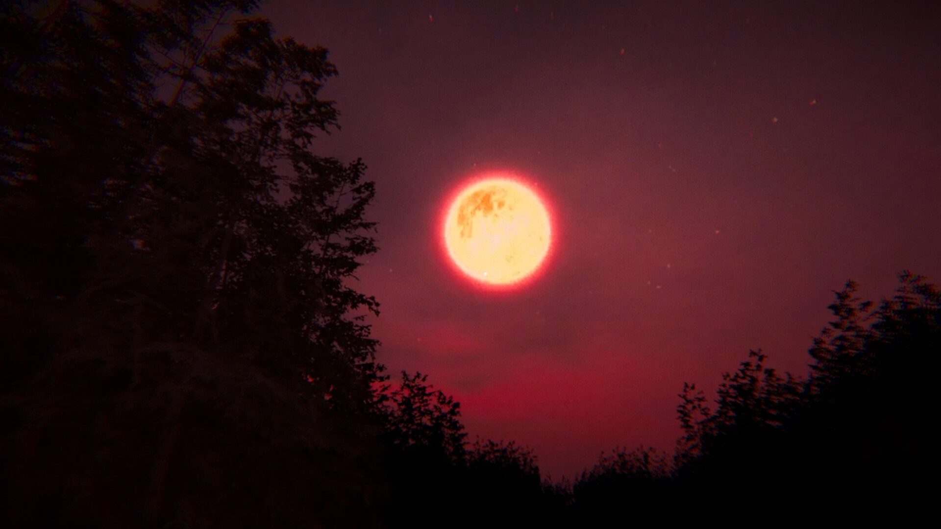 Deer Head screenshot 5
