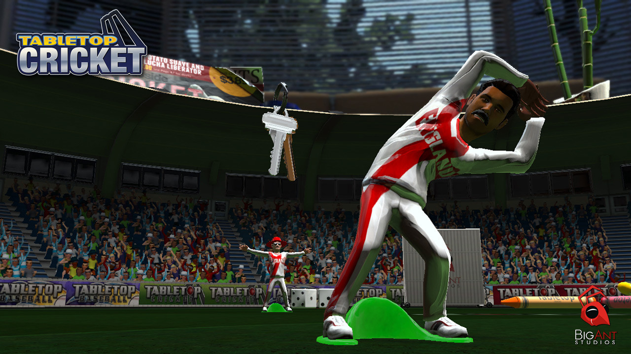TableTop Cricket screenshot 4