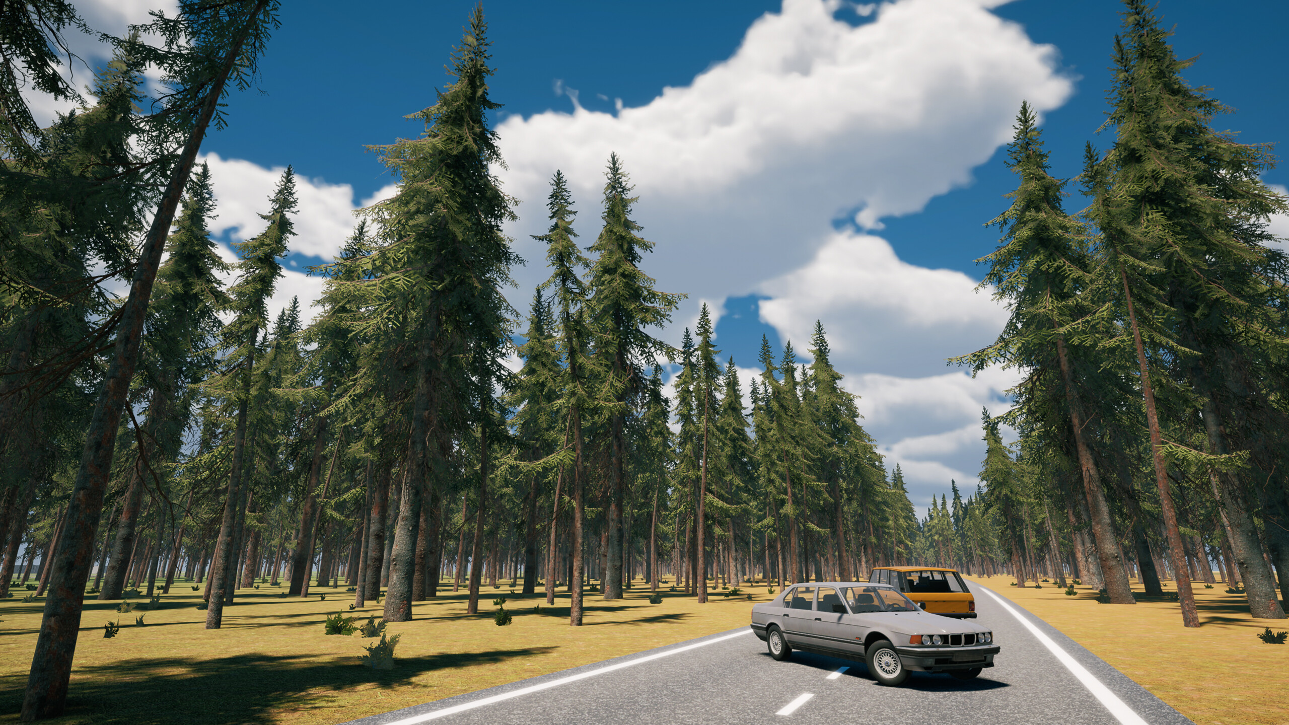 Country Drive Simulator screenshot 19