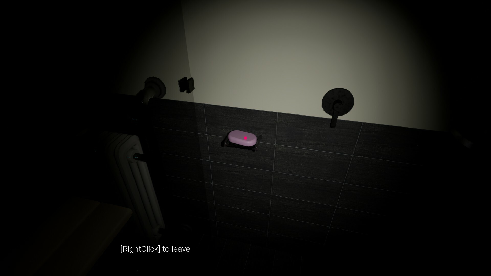 Bathroom screenshot 3