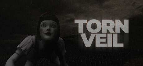 Torn Veil Cover Image