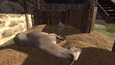 Screenshot #3