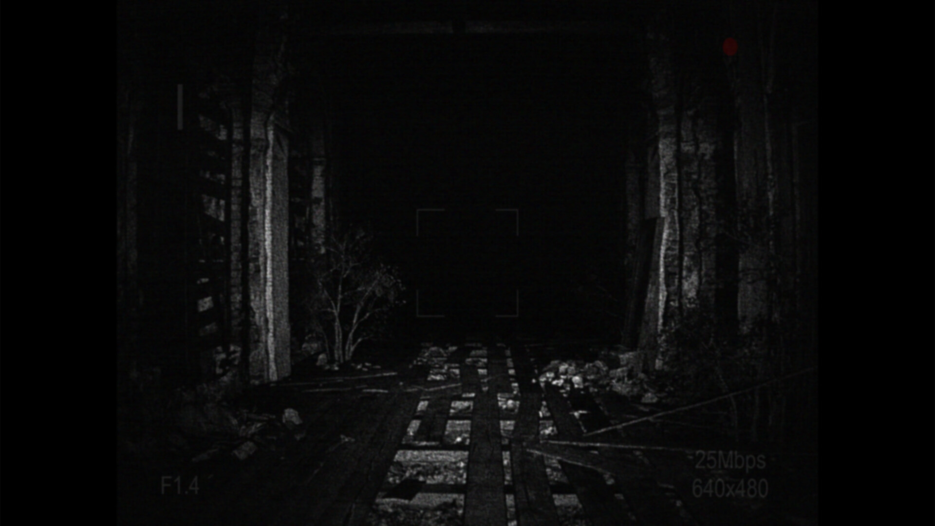 [REC] Desolation screenshot 3