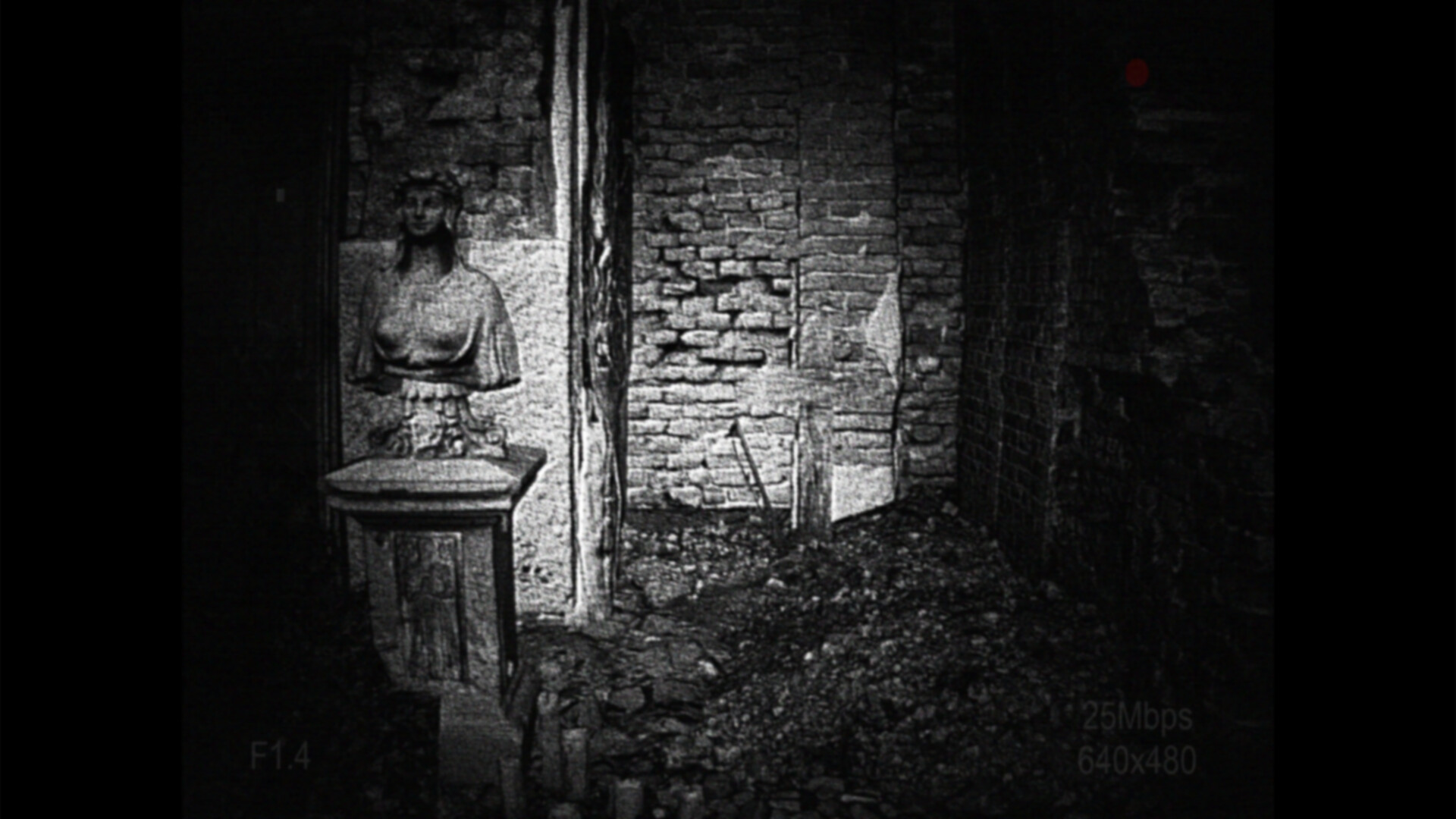 [REC] Desolation screenshot 4
