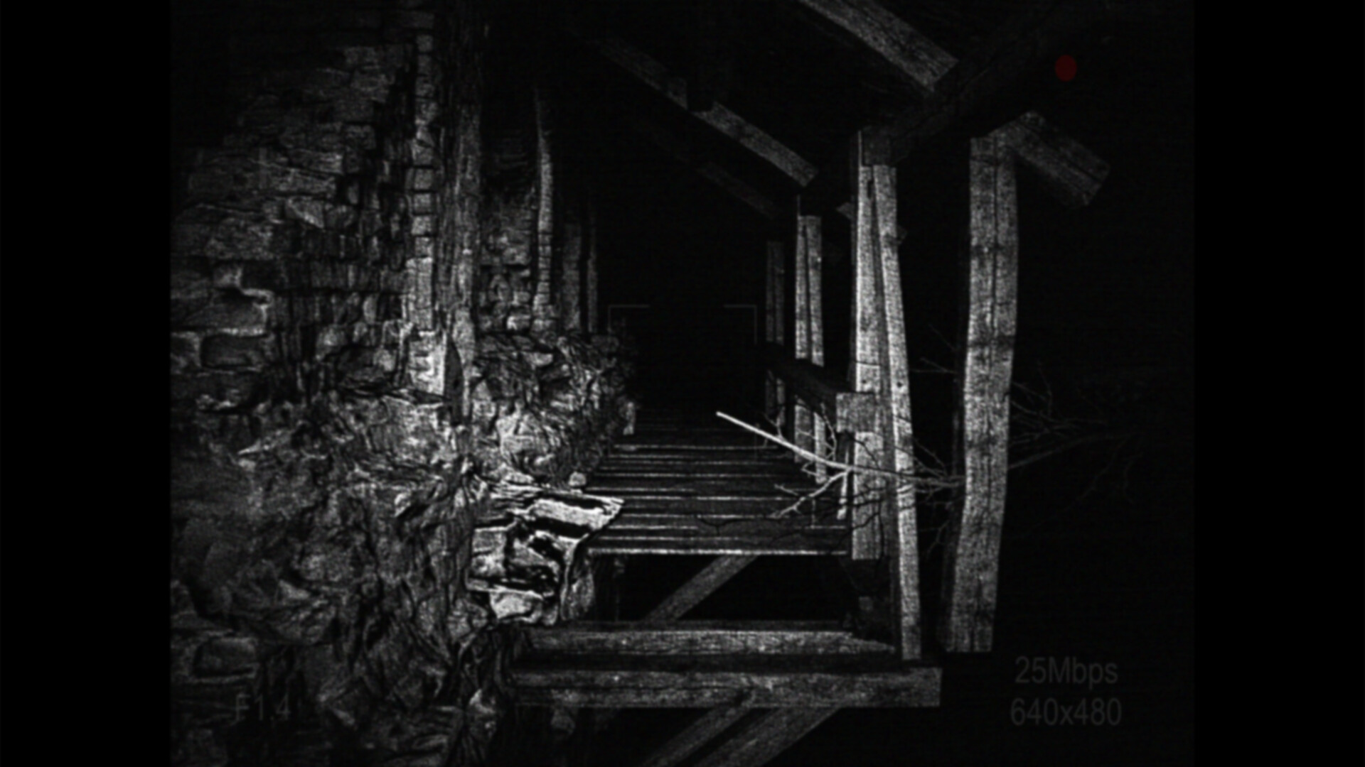 [REC] Desolation screenshot 5