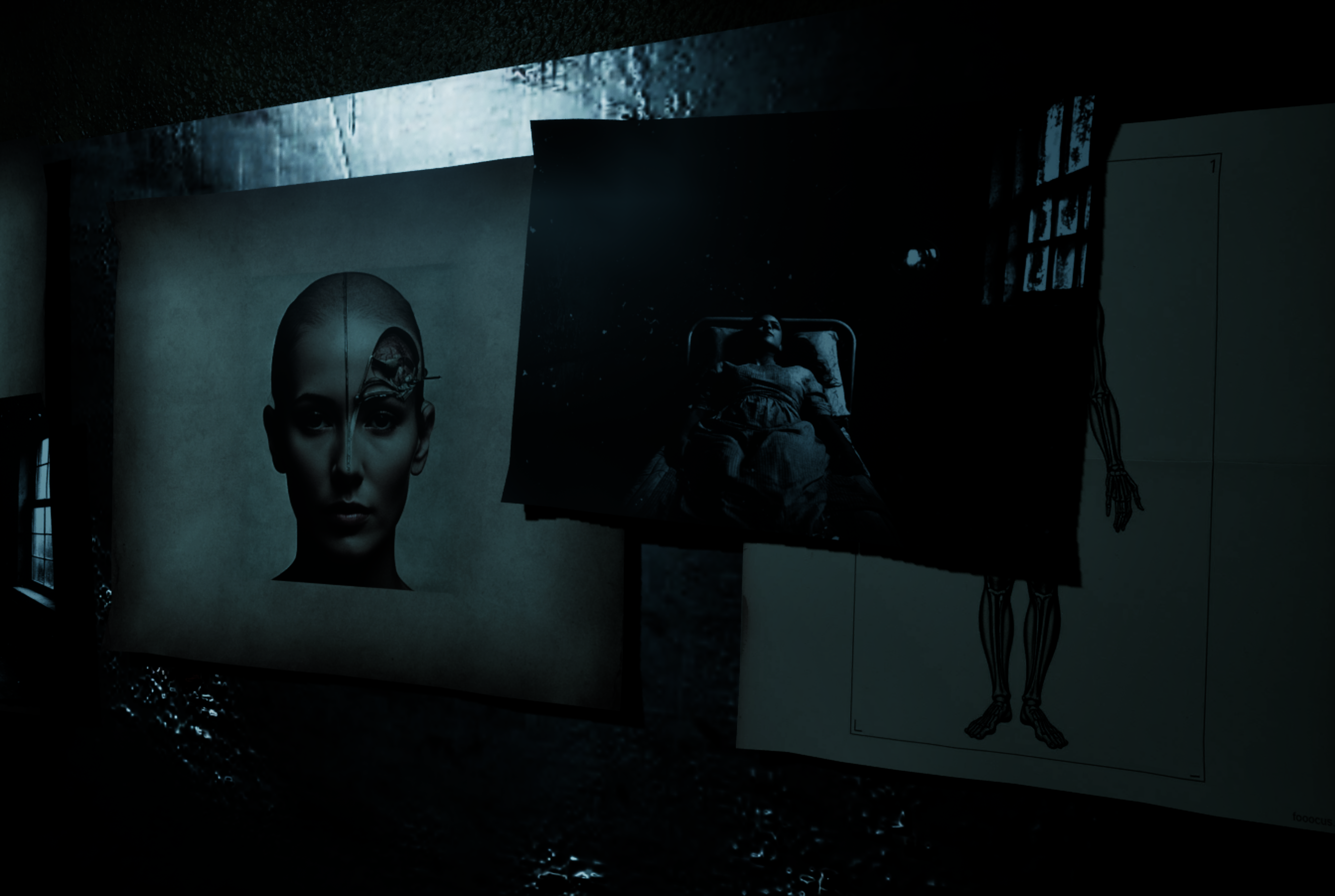 Forest Asylum