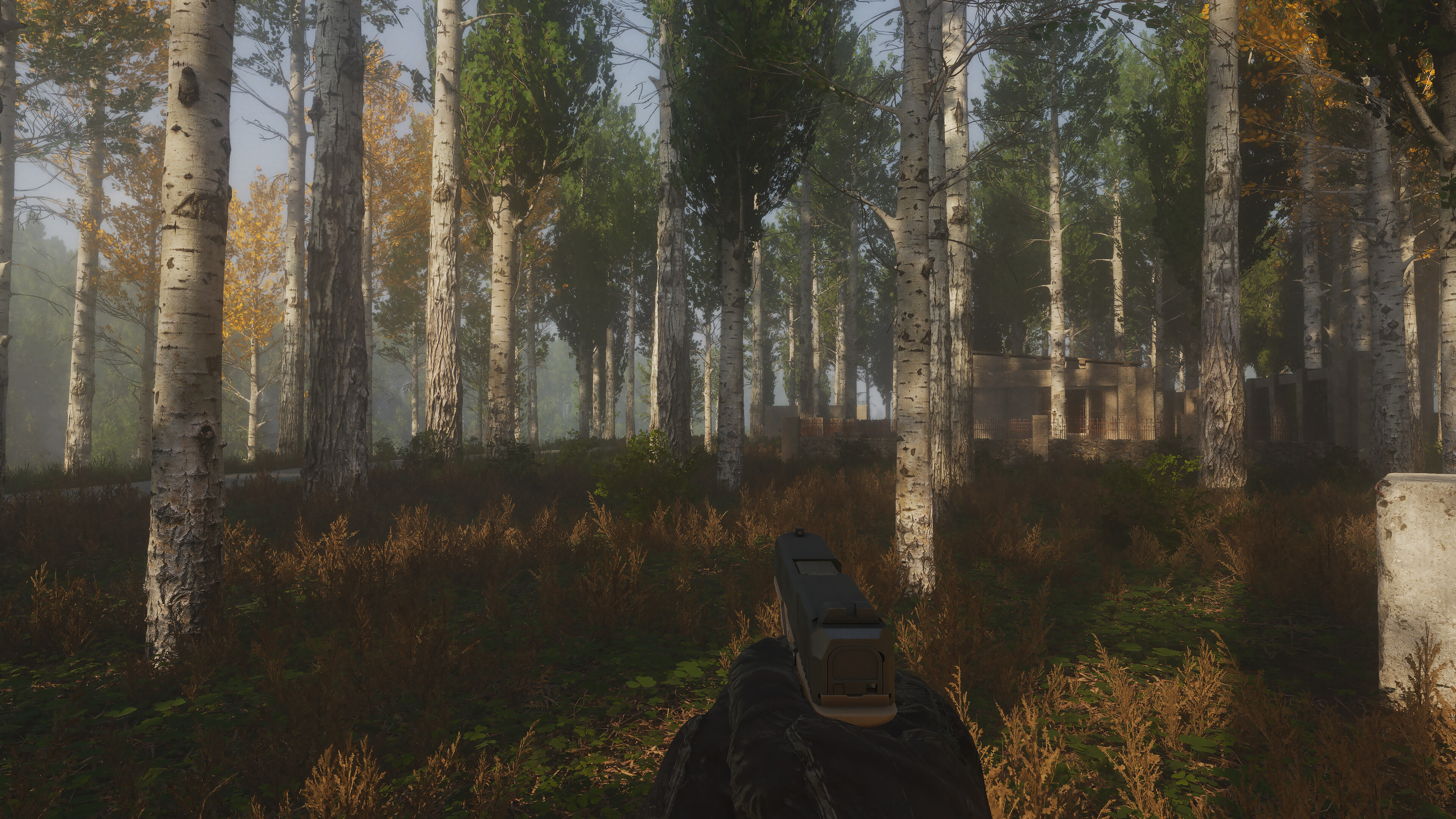 Night Kin screenshot 3