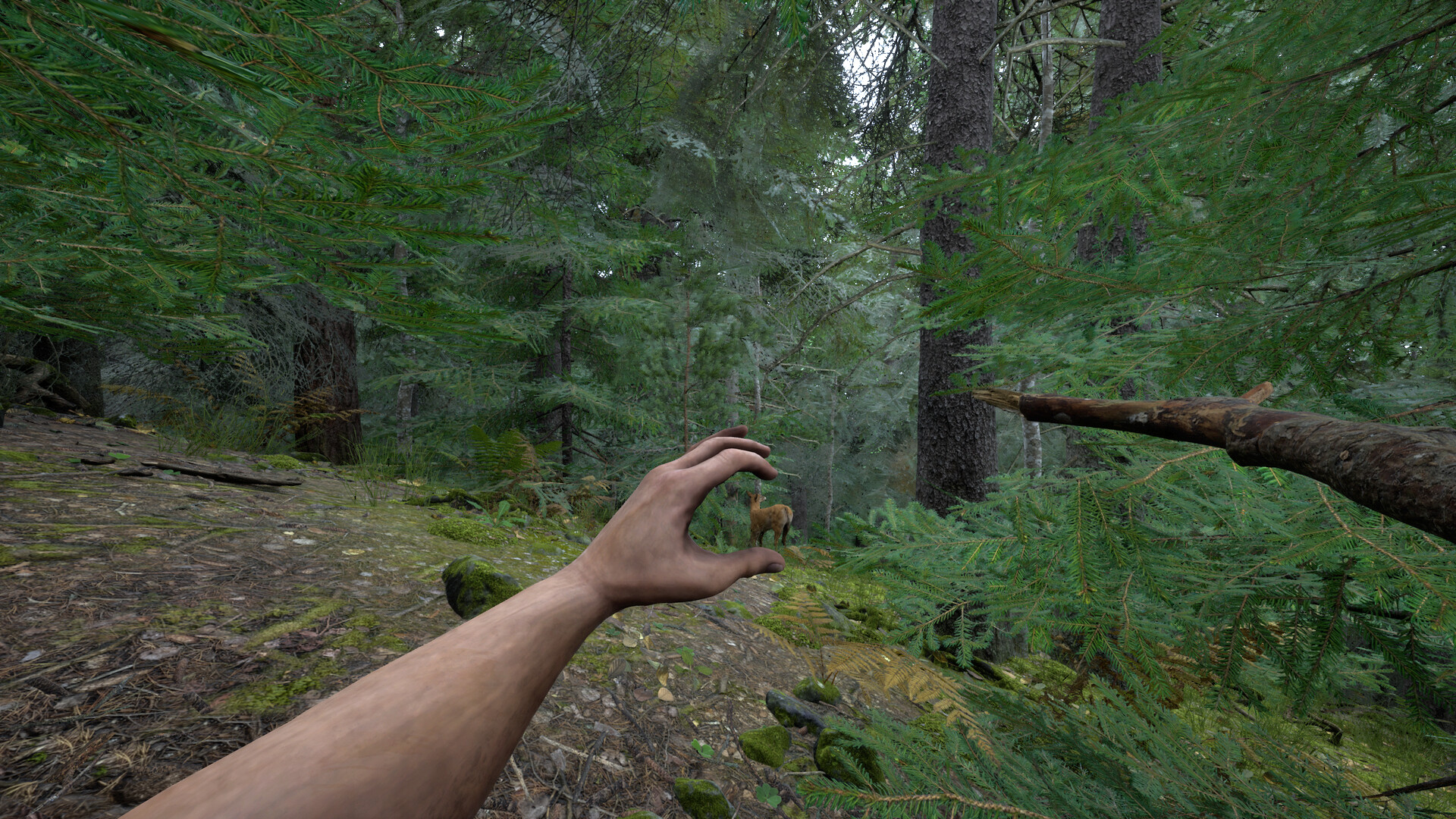 Paleolith screenshot 8