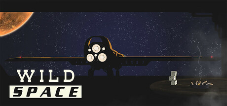 Wild Space Cover Image