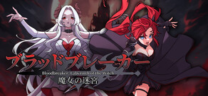 Bloodbreaker: Labyrinth of the Witch