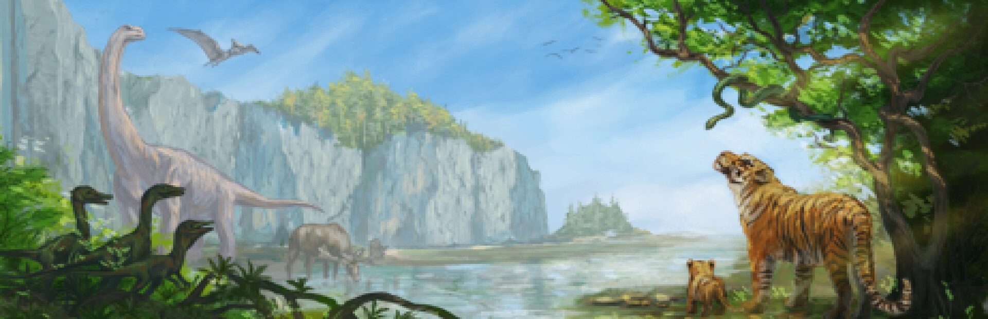 Ecosystem Architect