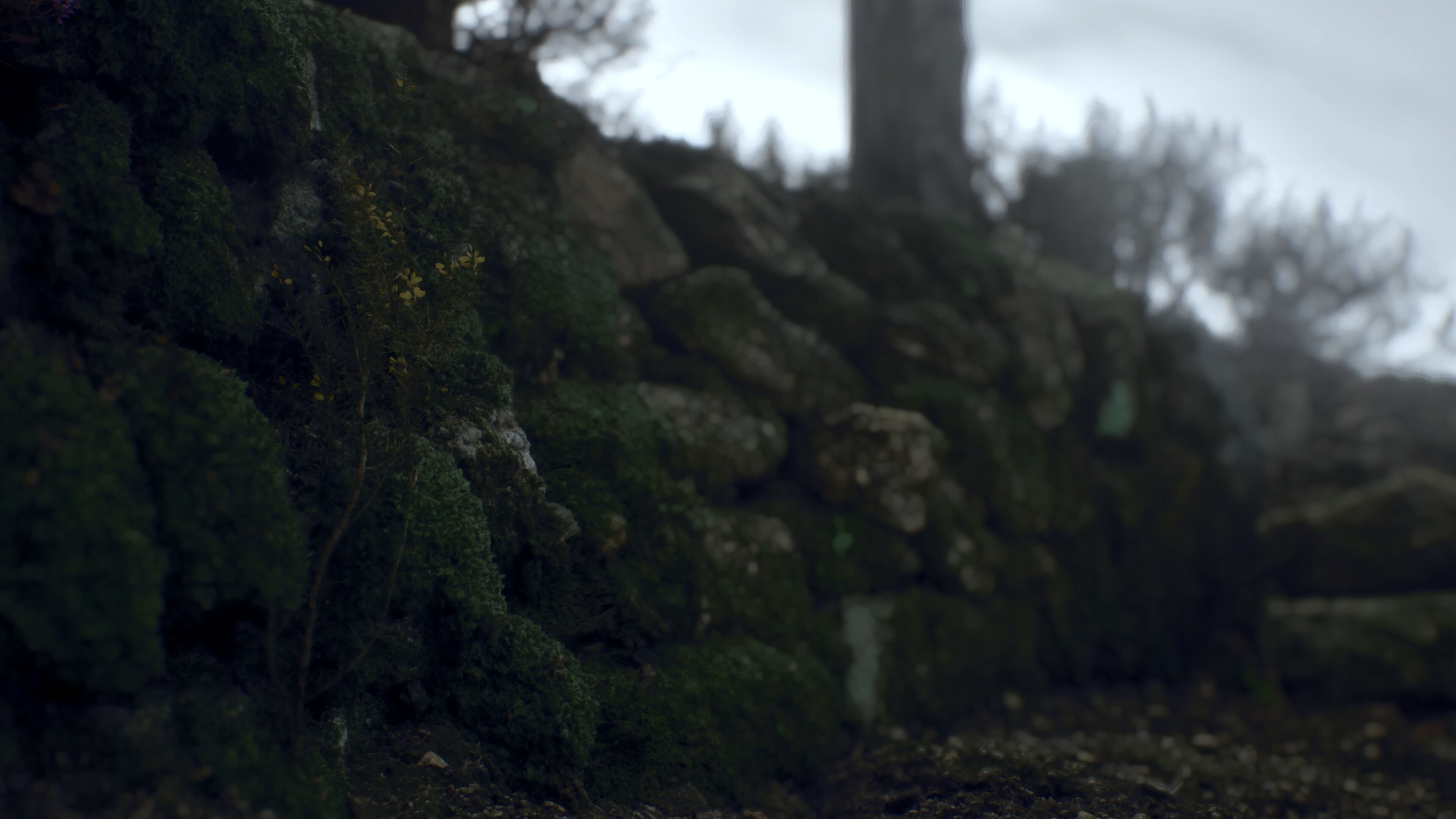Ritual Tides screenshot 4