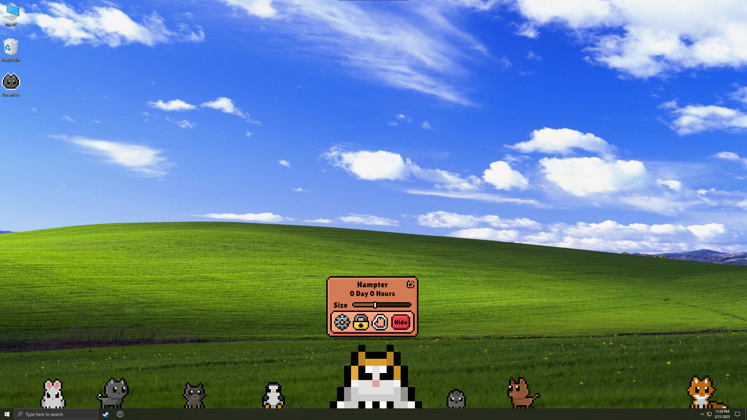Screen Pets screenshot 7