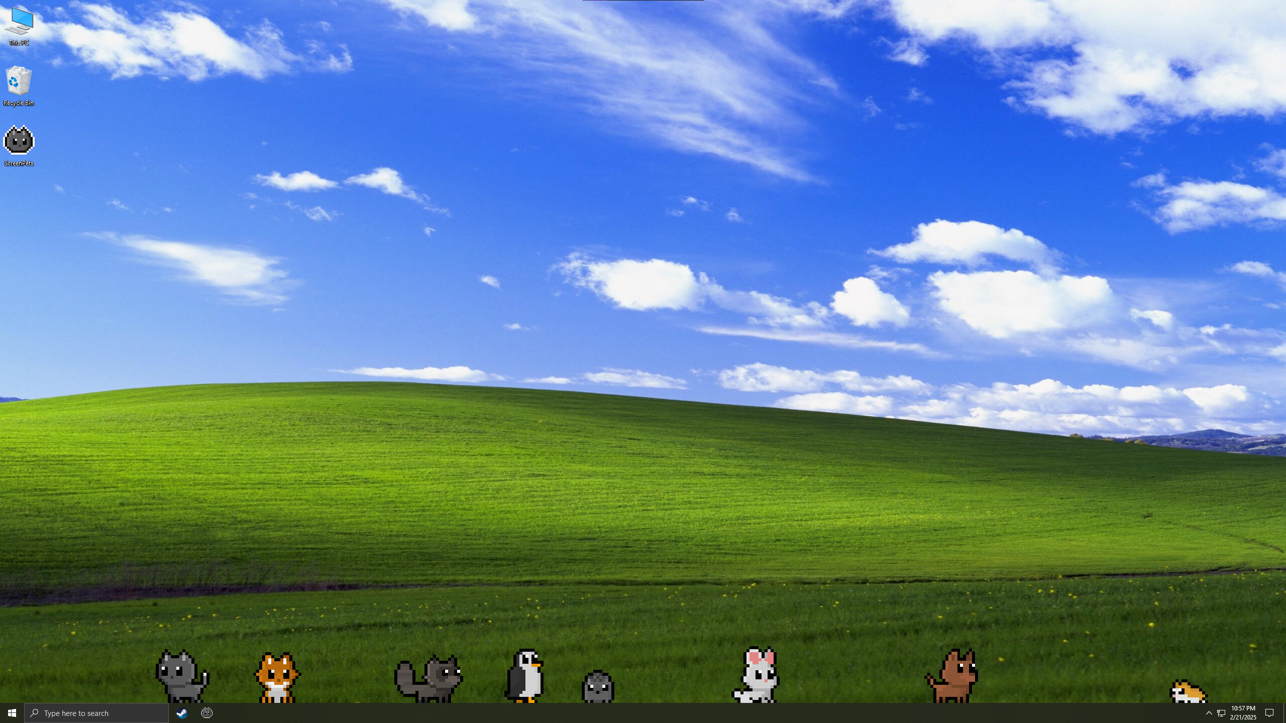 Screen Pets screenshot 4