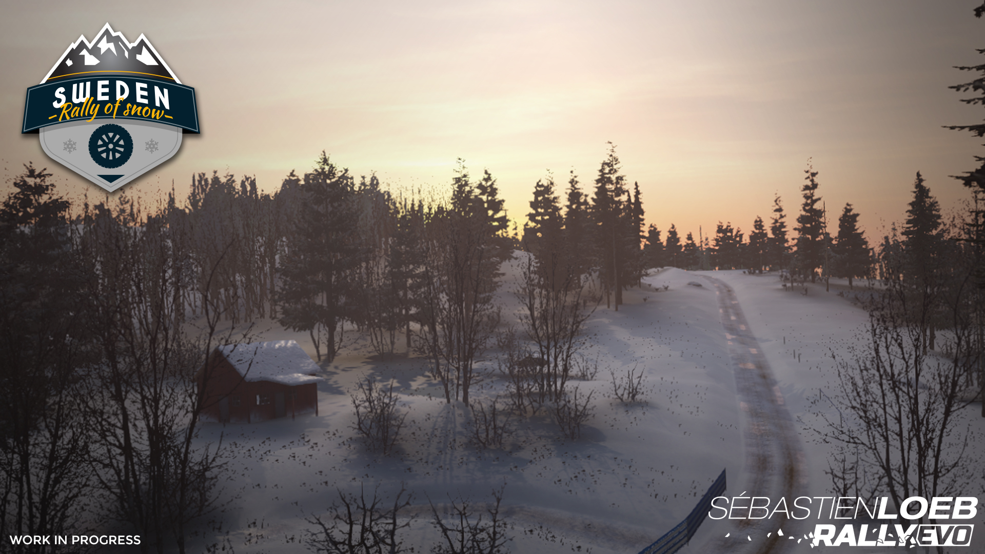 Sebastien Loeb Rally EVO screenshot 17