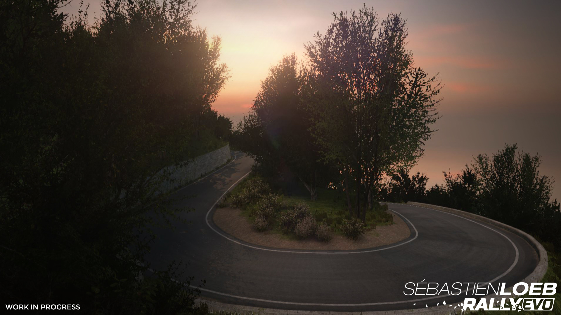 Sebastien Loeb Rally EVO screenshot 14