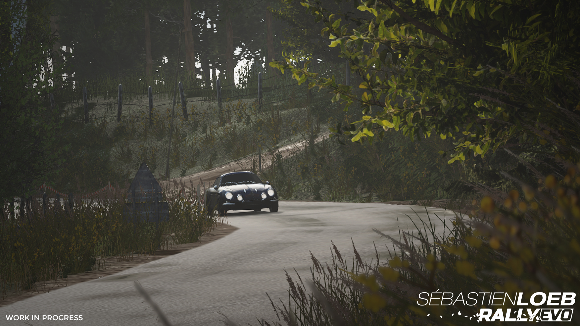 Sebastien Loeb Rally EVO screenshot 10