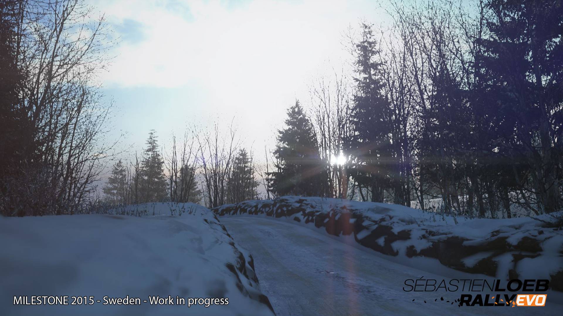 Sebastien Loeb Rally EVO screenshot 21