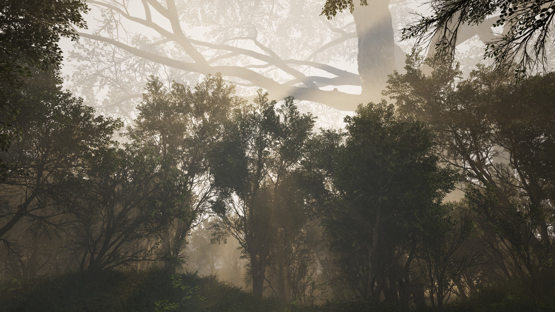 Calming Forest screenshot 8