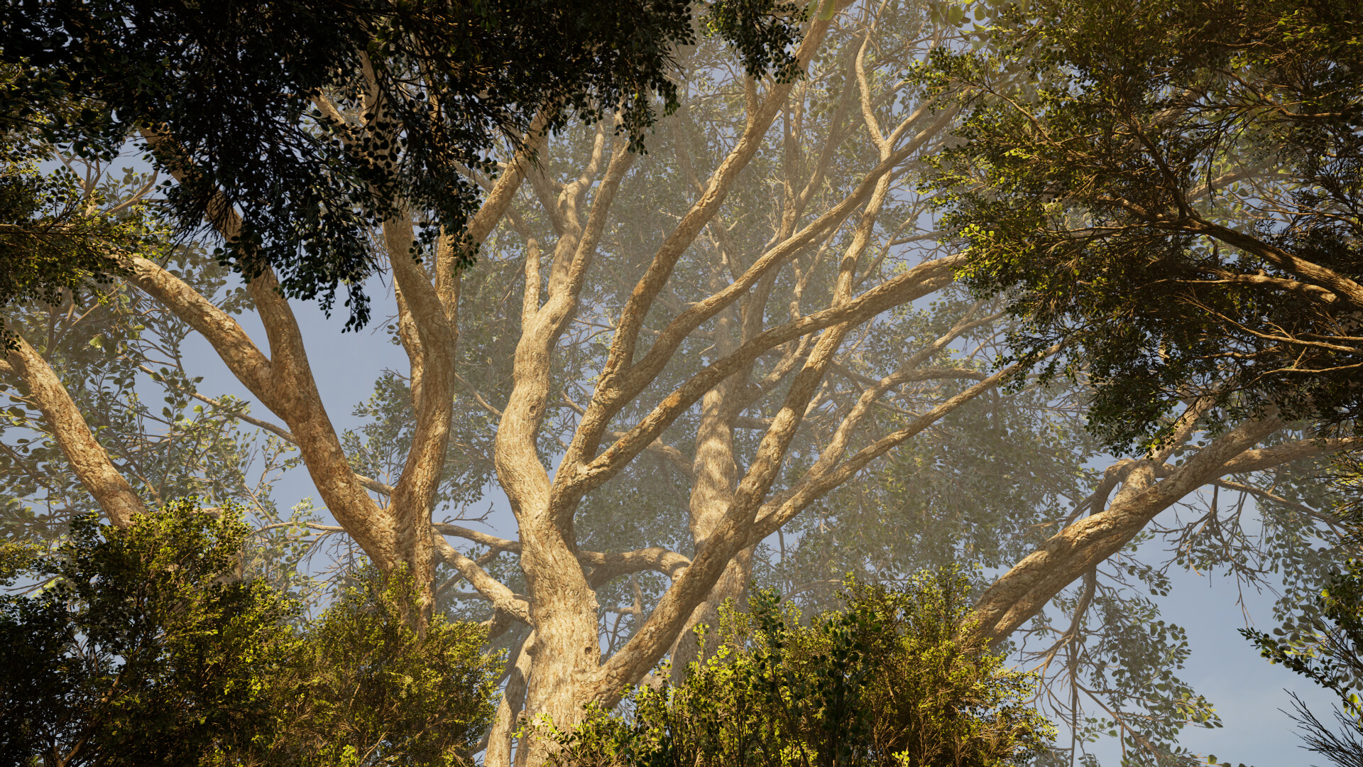 Calming Forest screenshot 3