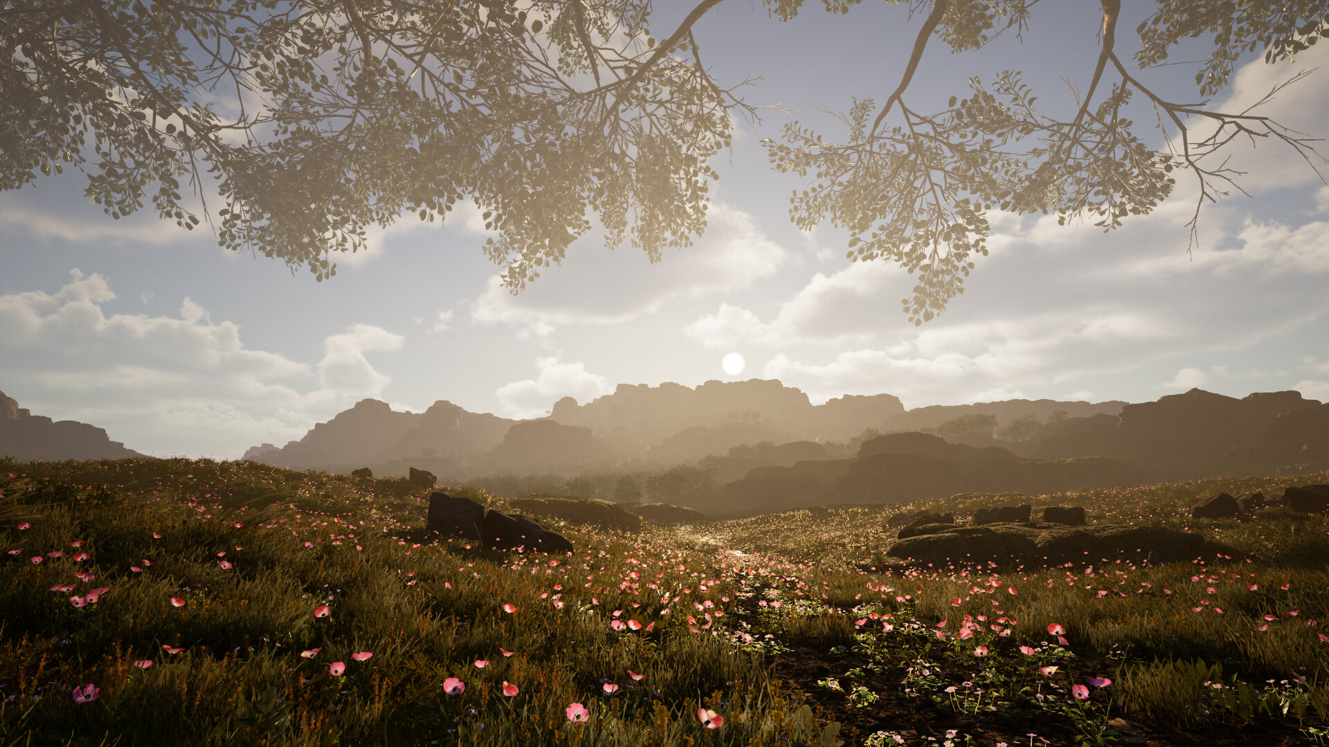 Calming Forest screenshot 13