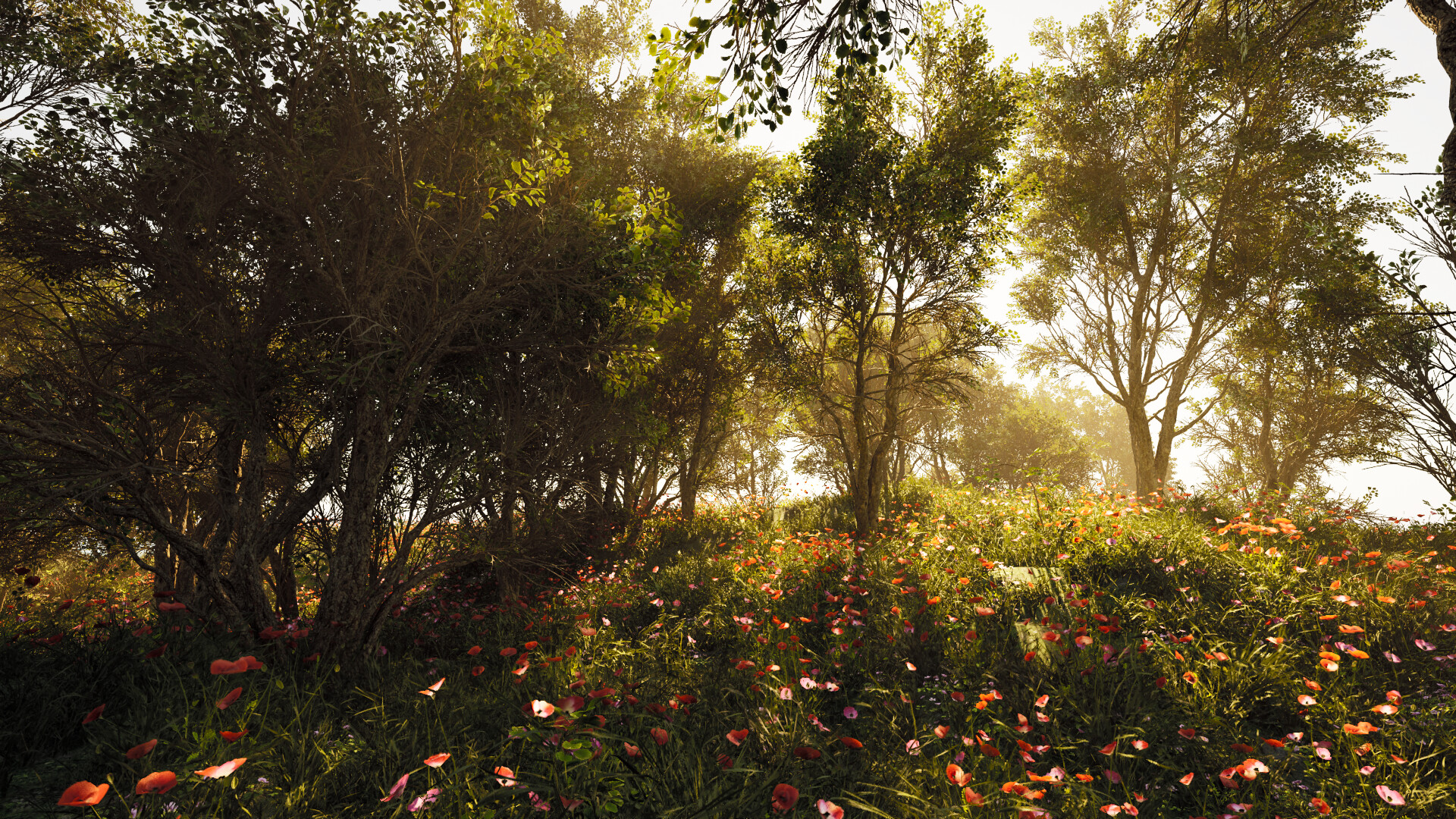 Calming Forest screenshot 9