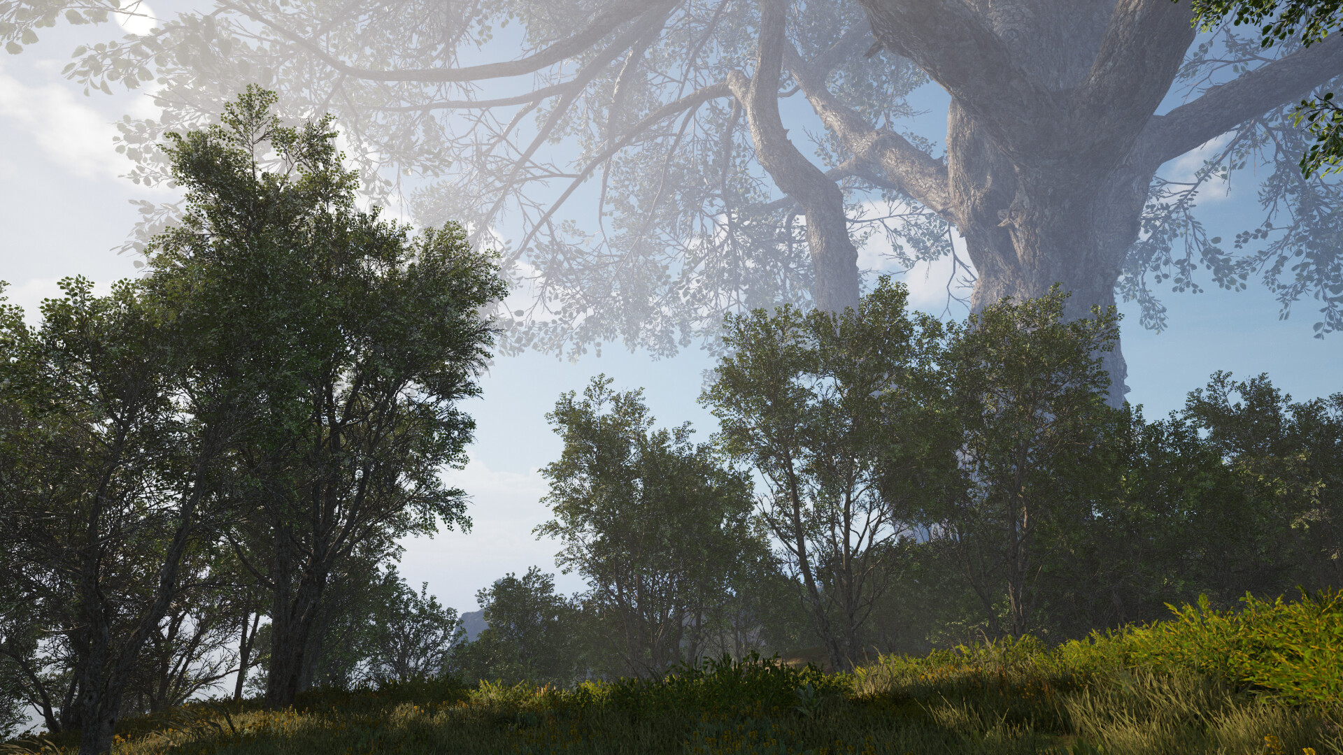 Calming Forest screenshot 14
