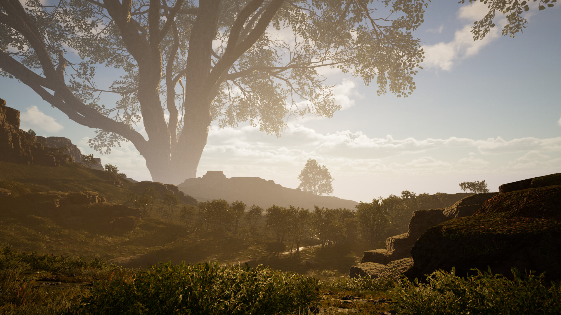 Calming Forest screenshot 12