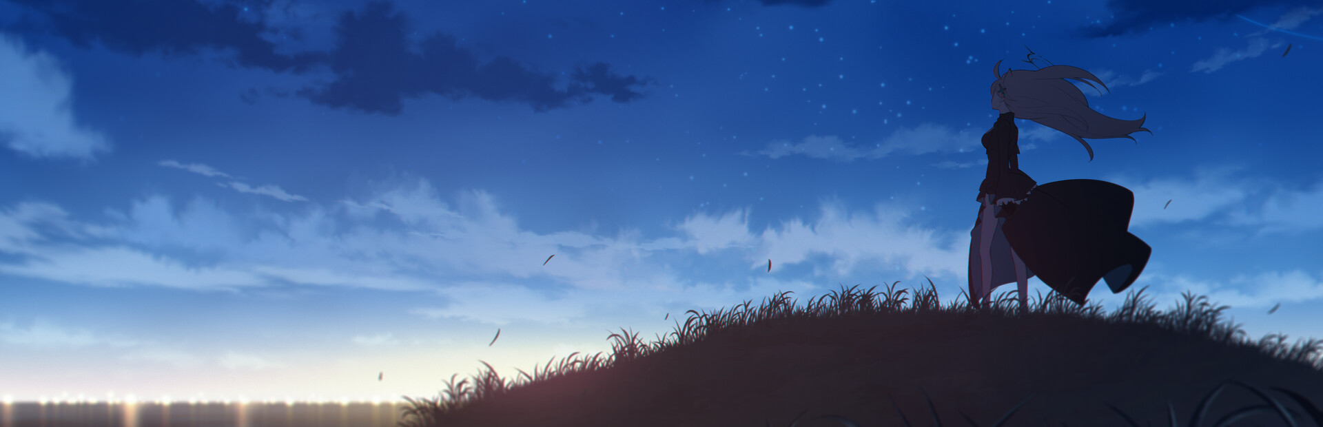 Capsule