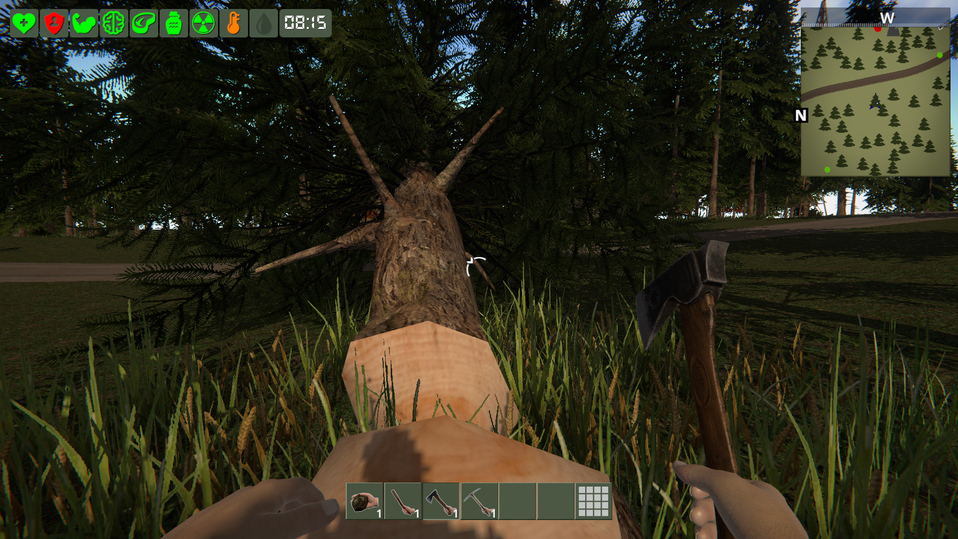 The Survivor screenshot 3