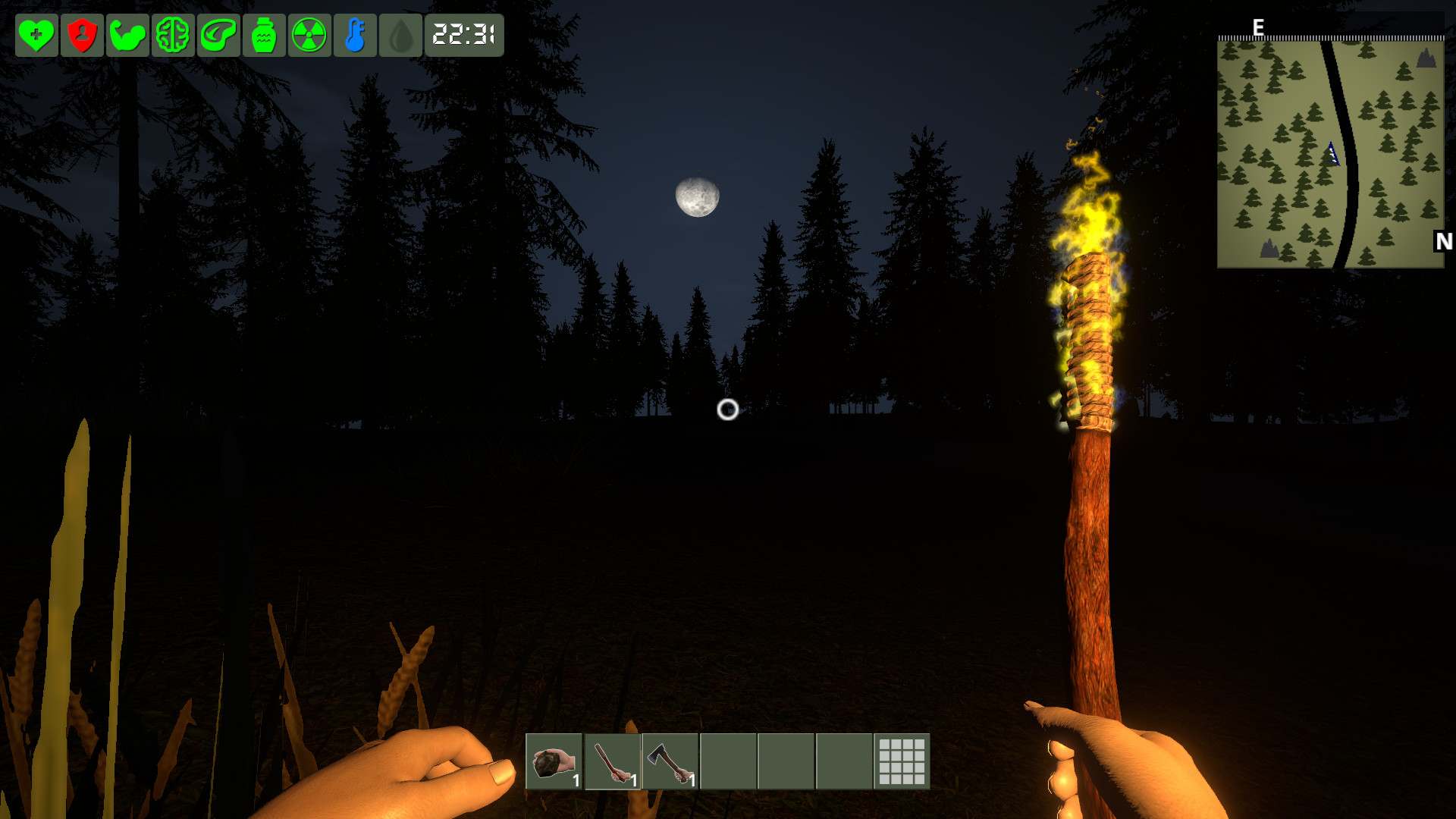 The Survivor screenshot 2