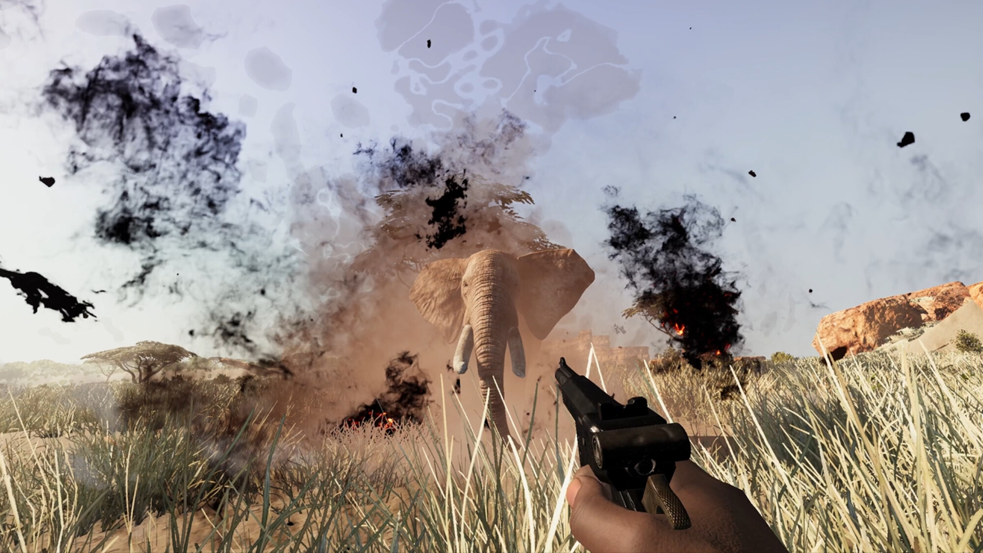 DION screenshot 6