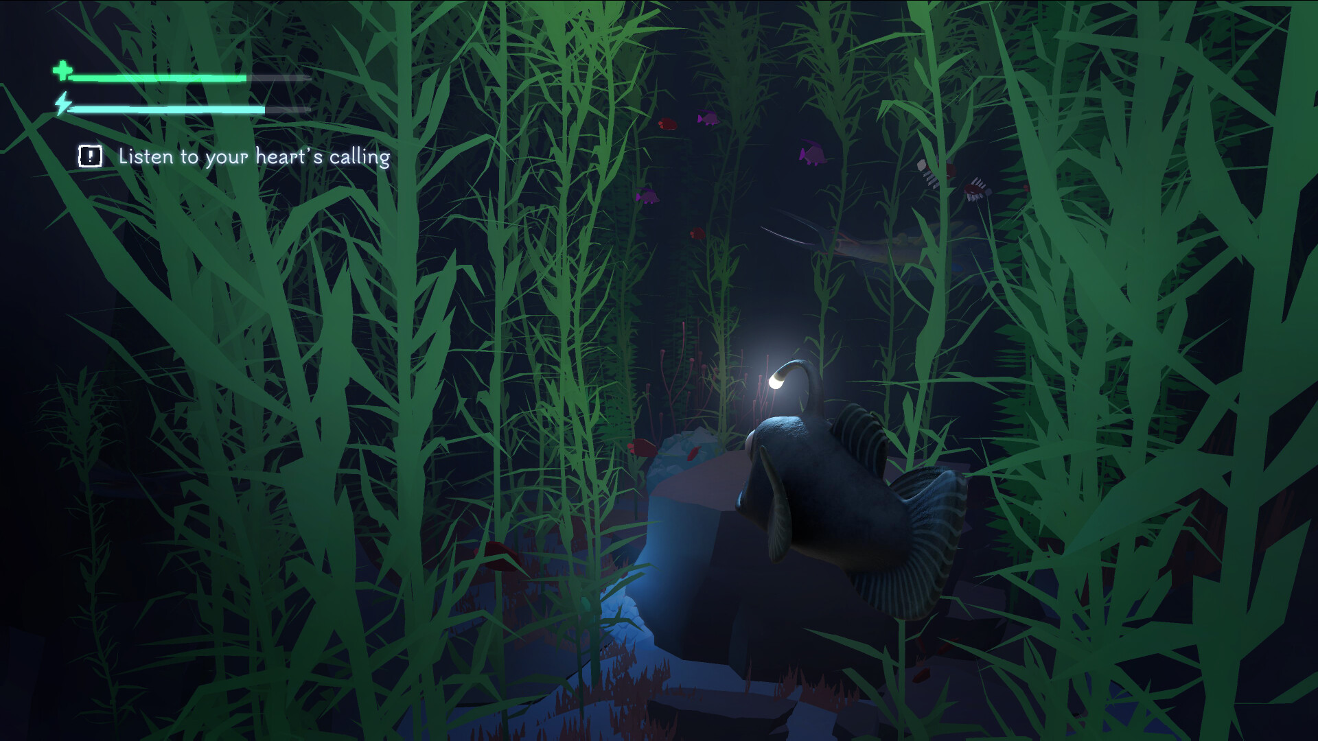 It was beautiful screenshot 6