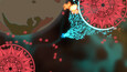 Screenshot #2