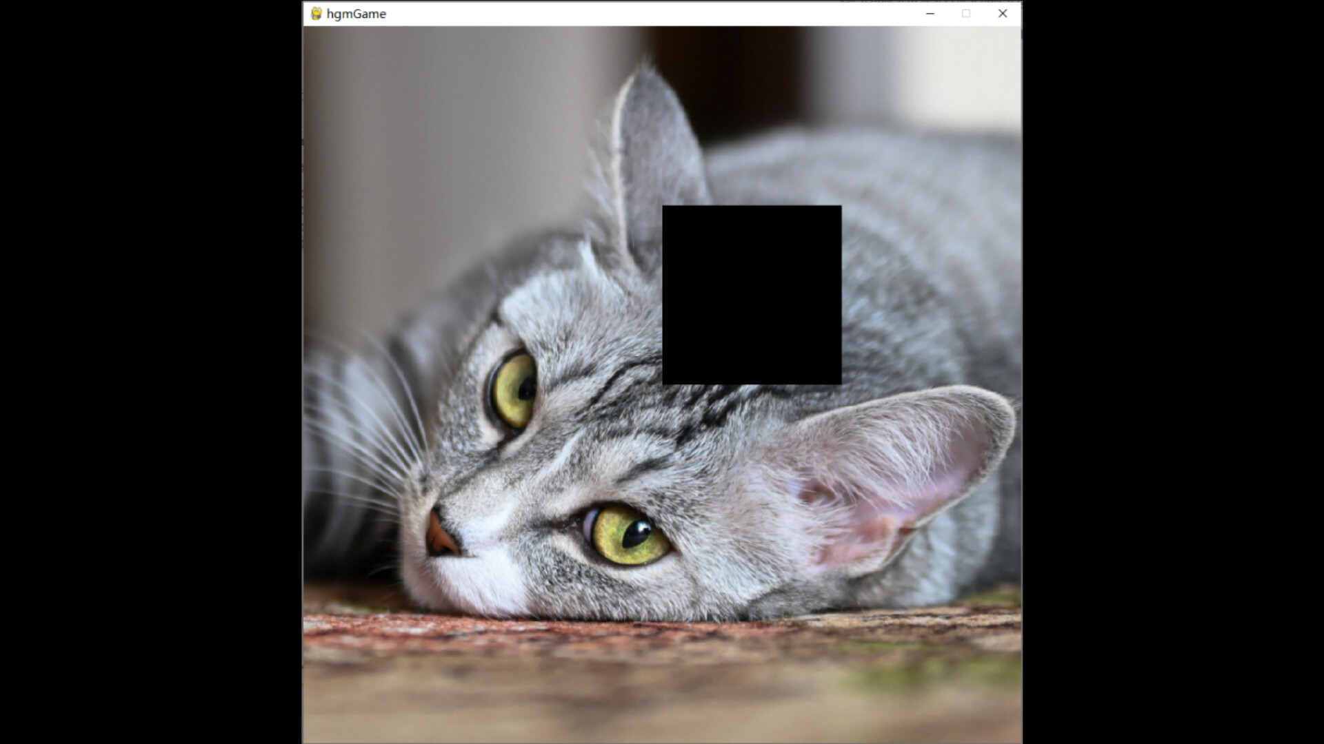 hgmGame-cat screenshot 5