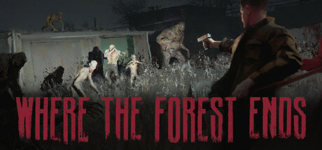 Where the forest ends Cover Image