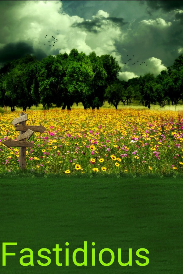 521f3b3a-fb48-00ae-5b16-1ec4a842c27c