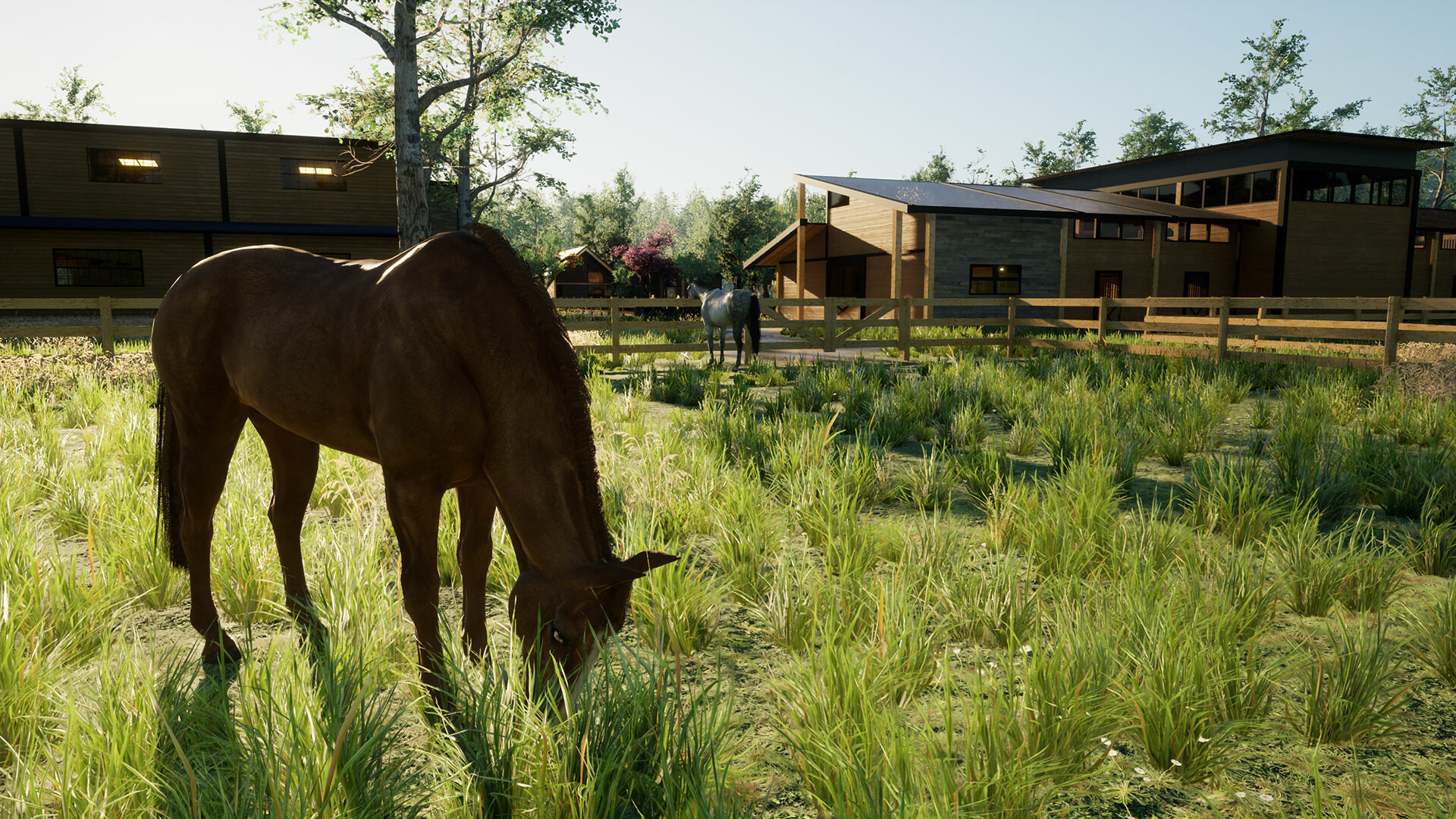 Giddy Up screenshot 8