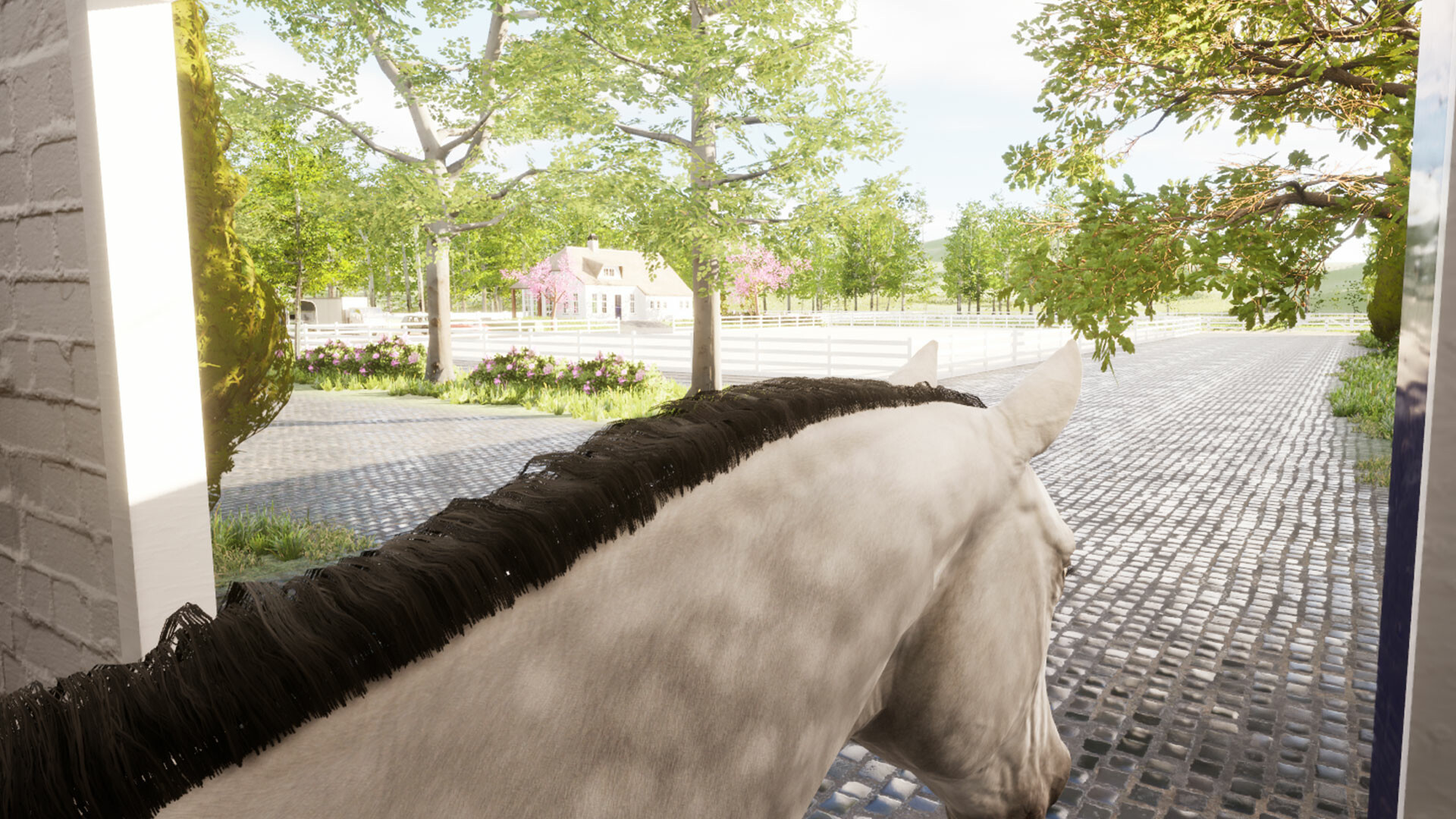 Giddy Up screenshot 12