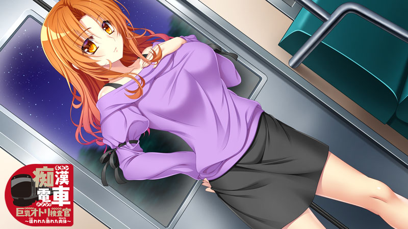 [250717](ENG)痴漢電車 巨乳オトリ捜査官 ～狙われた熟れた肉体～ 游戏 第13张